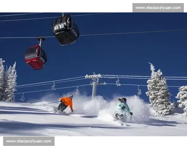 极速雪道争锋,滑雪高手冰雪赛场巅峰对决揭秘 极速雪道争锋,滑雪高手冰雪赛场巅峰对决揭秘